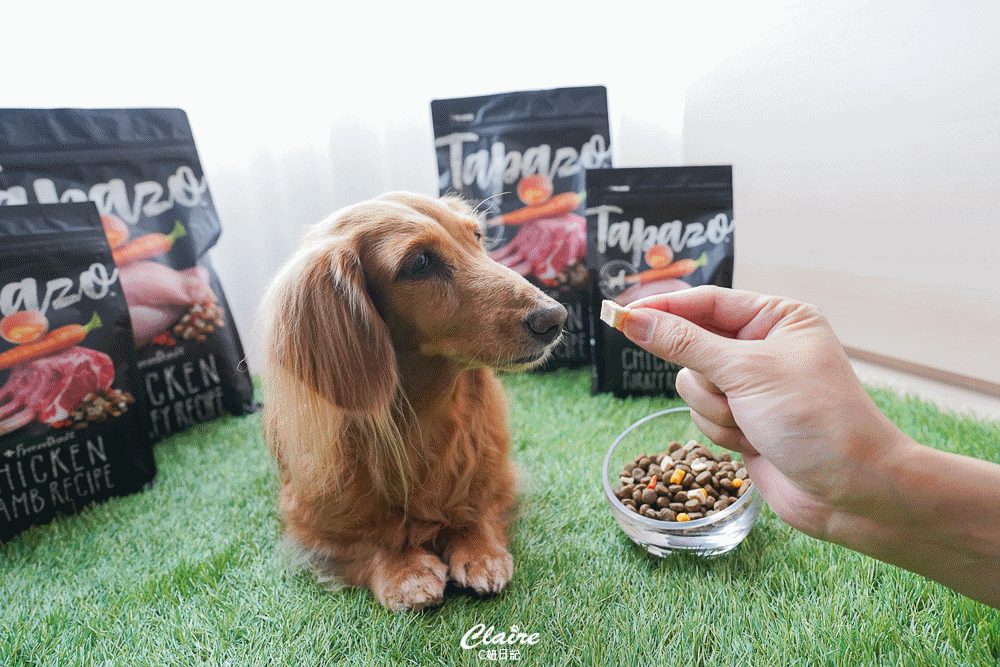 20251024-yjcel 20251024-yjcel