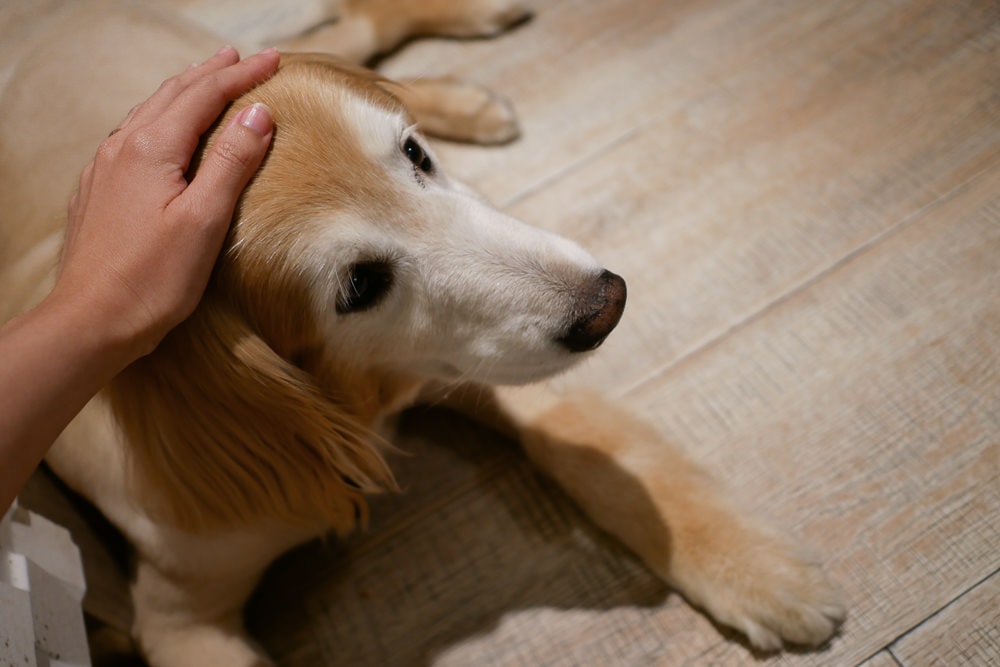 20251024-1h8tg 20251024-1h8tg