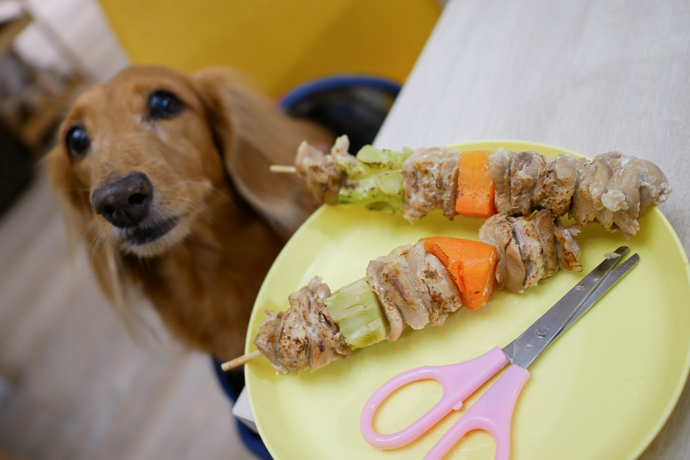 20251024-5xsw4 20251024-5xsw4