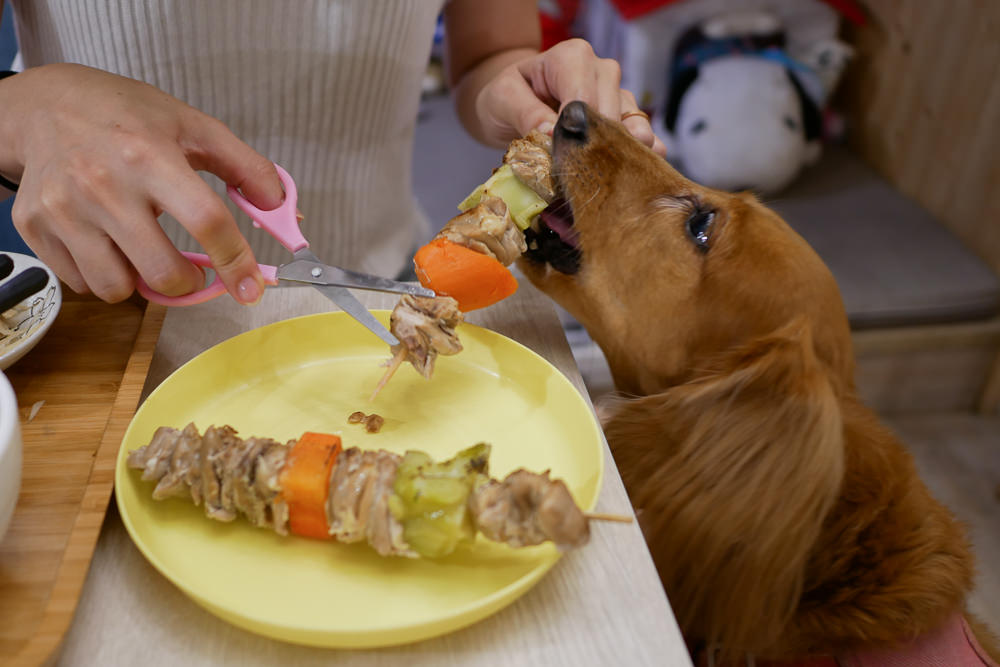 20251024-a2qyn 20251024-a2qyn