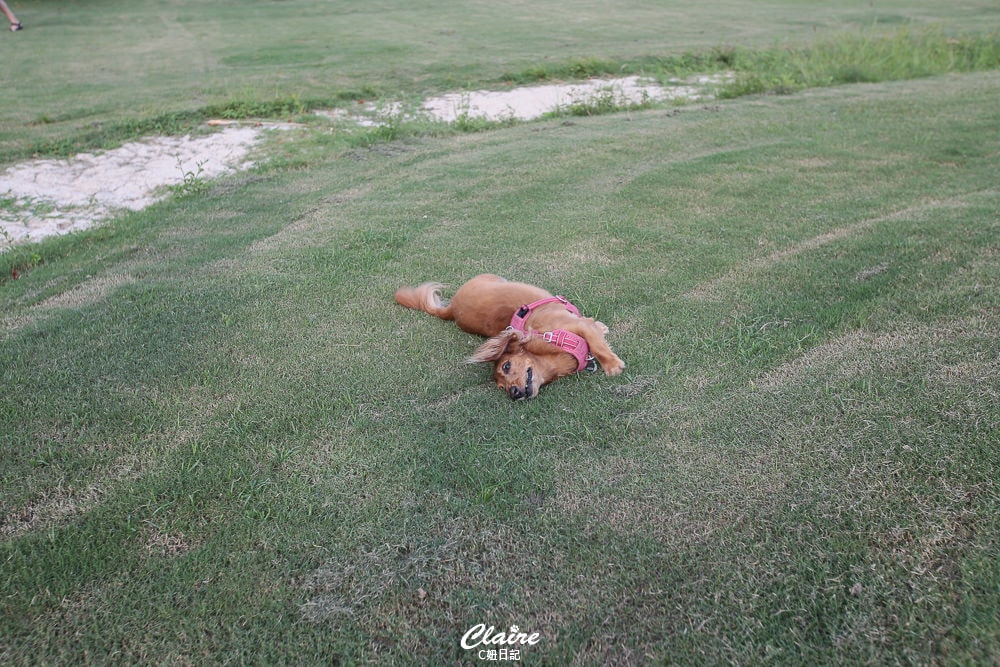 20251024-ge4ox 20251024-ge4ox