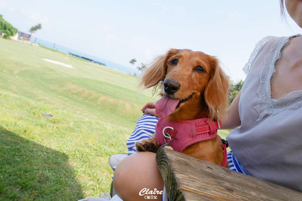 20251024-iq19w 20251024-iq19w