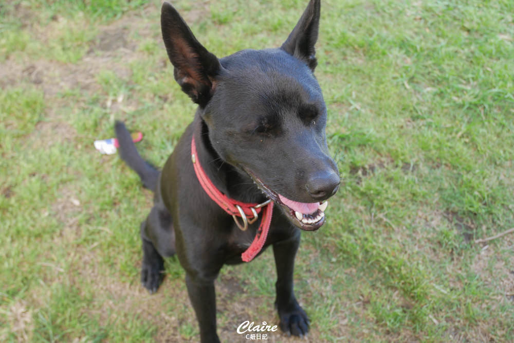 20251024-kdip8 20251024-kdip8