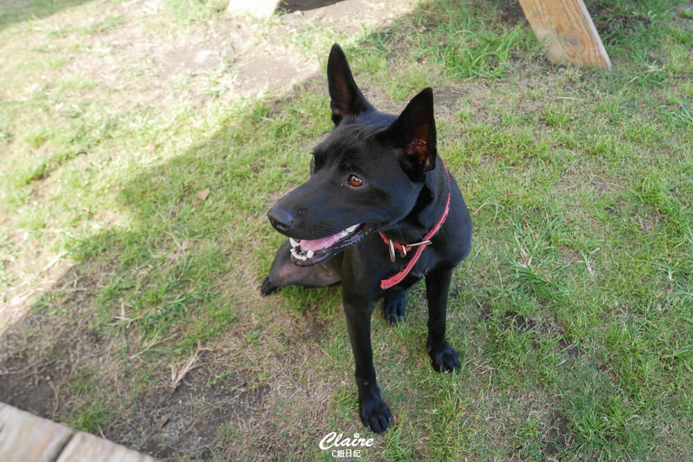 20251024-thl6e 20251024-thl6e