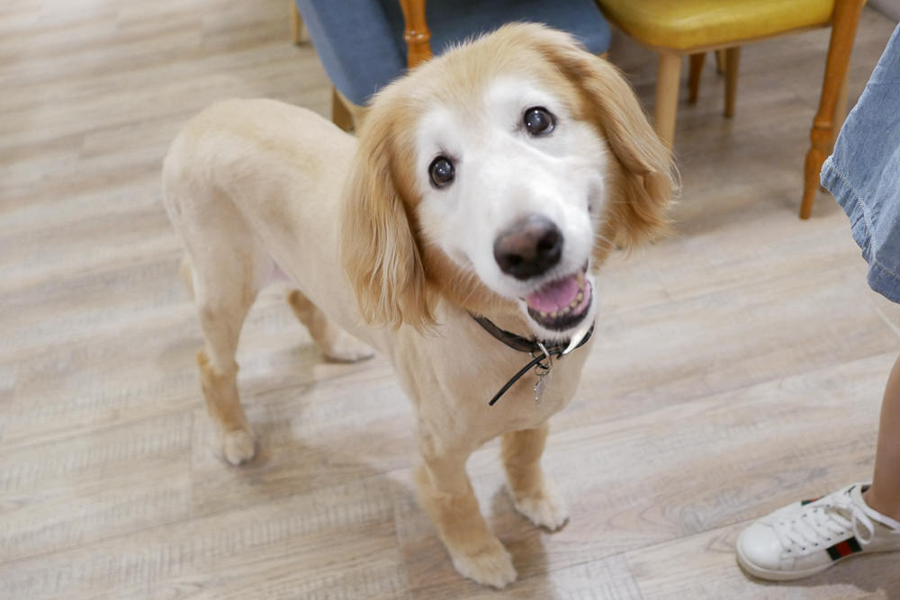 20251024-tm141 20251024-tm141