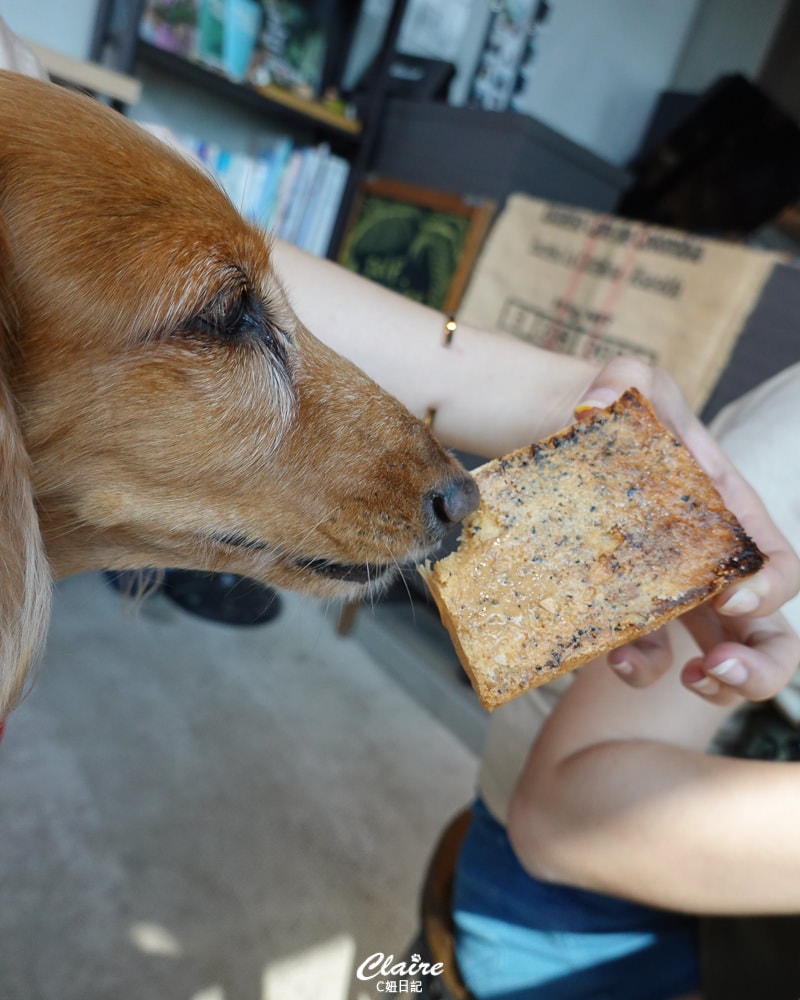 20251024-nbtko 20251024-nbtko