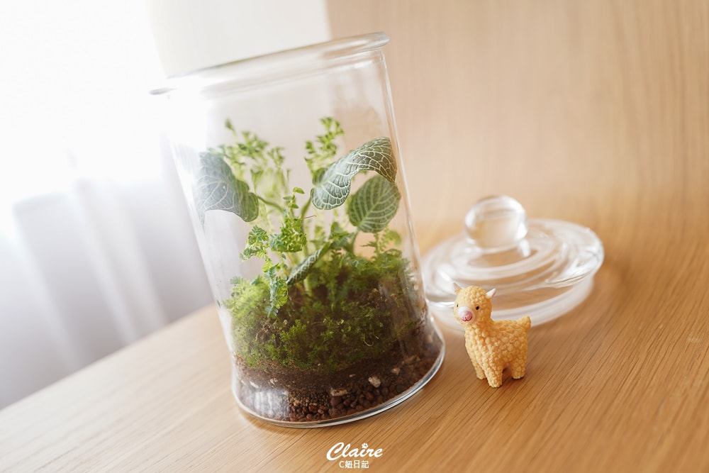 20251024-cgmn2 20251024-cgmn2