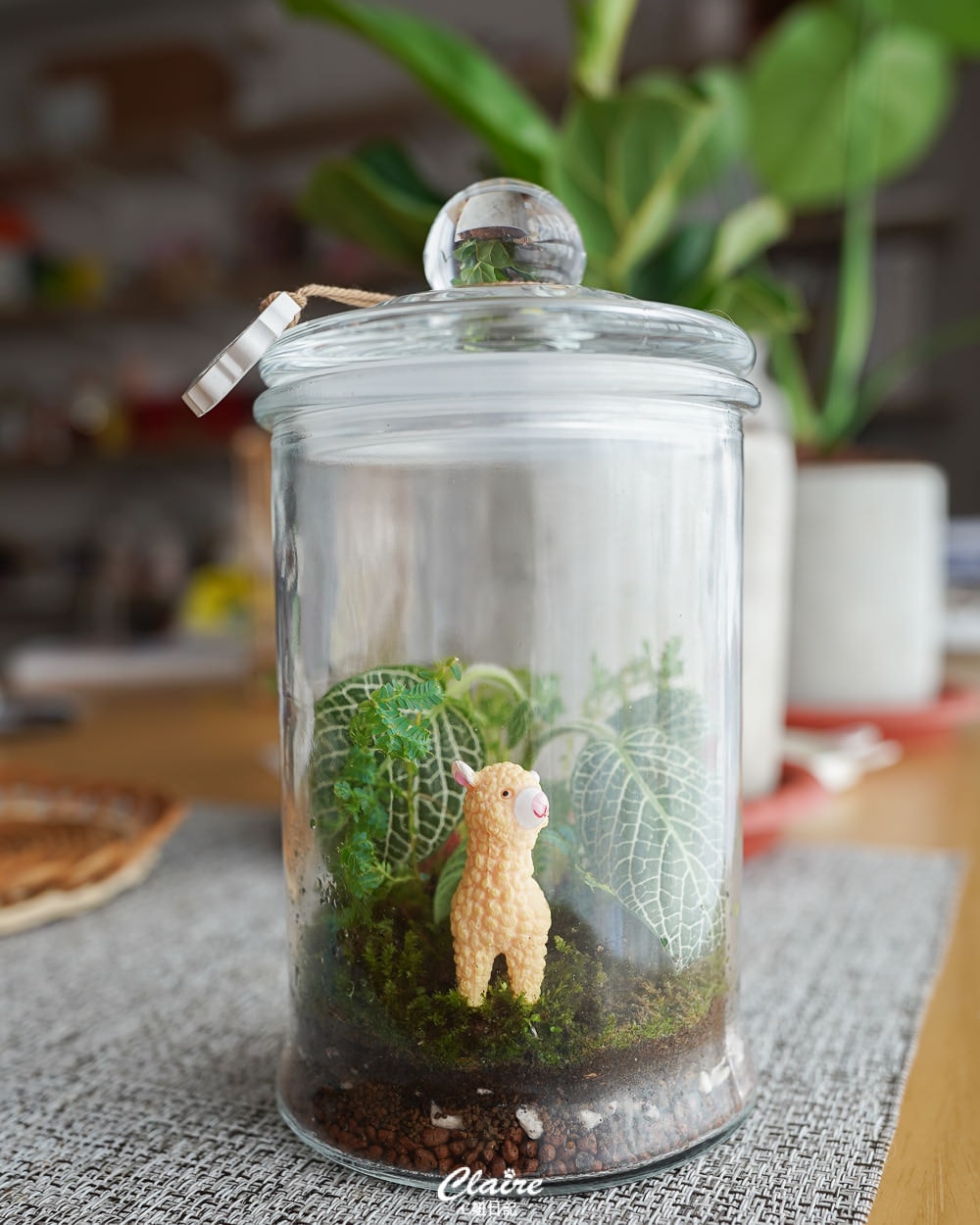 20251024-e7q17 20251024-e7q17