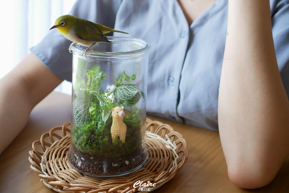 20251024-hxv0i 20251024-hxv0i