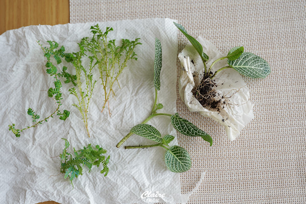 20251024-jyv6z 20251024-jyv6z