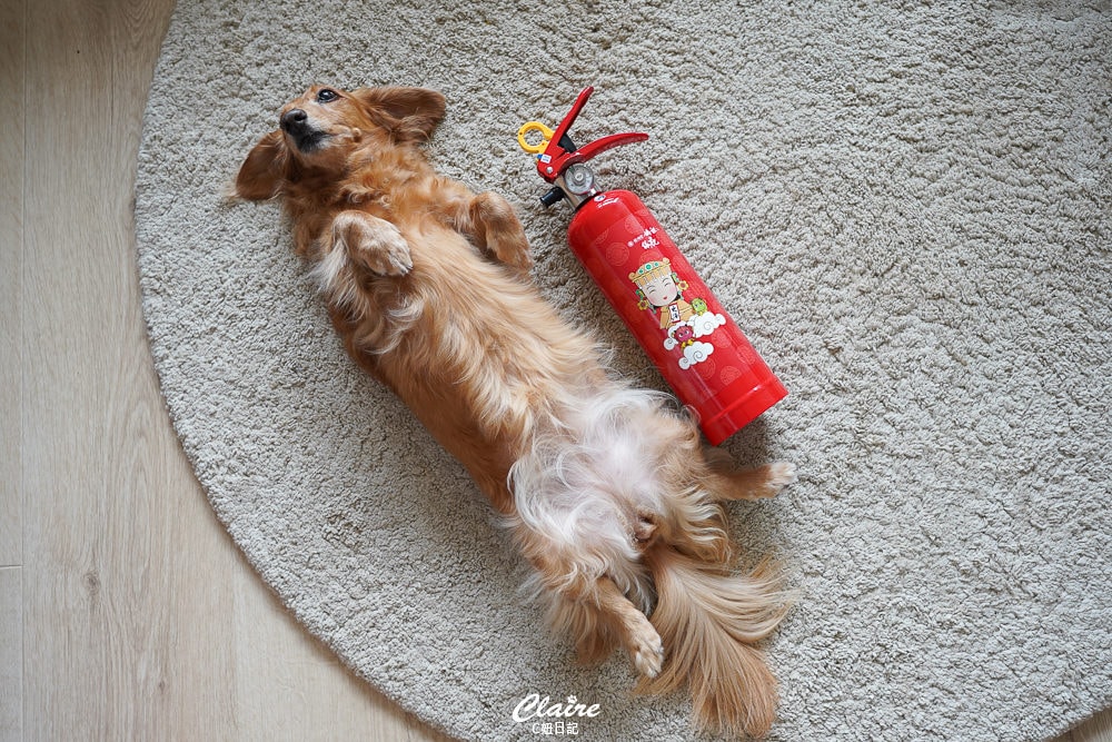 20251024-kuy3w 20251024-kuy3w