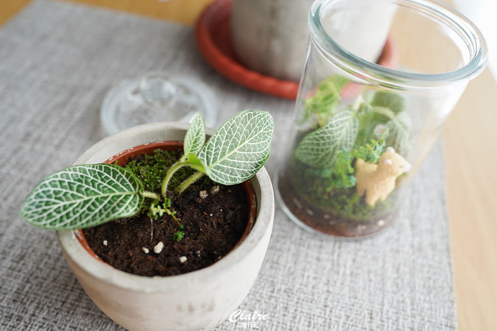 20251024-nmpfs 20251024-nmpfs