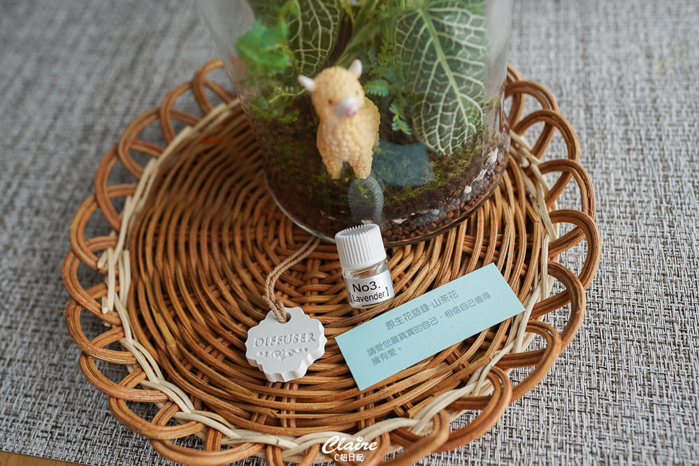 20251024-slzvv 20251024-slzvv