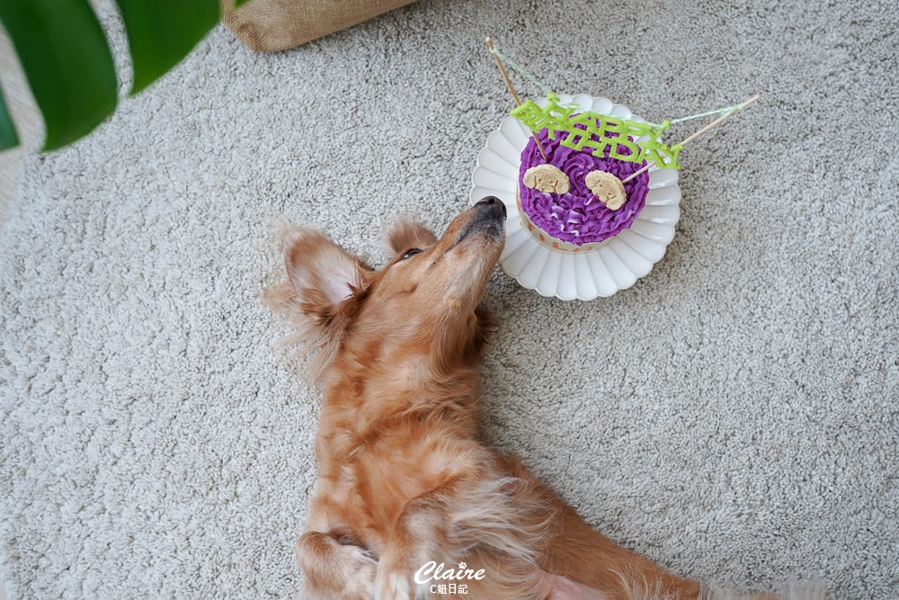 20251024-3067c 20251024-3067c