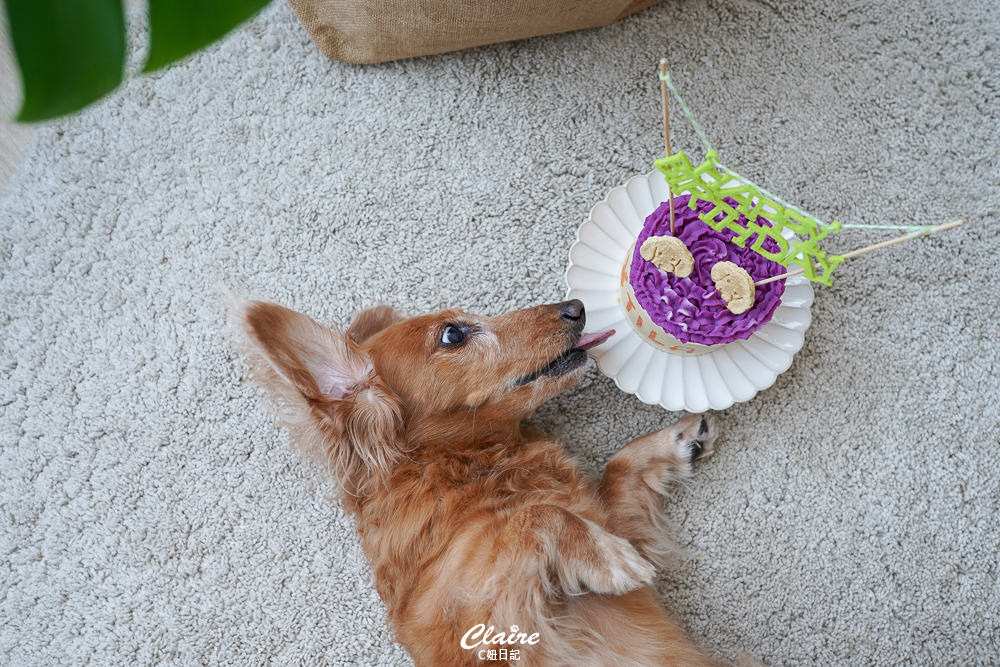 20251024-58aqo 20251024-58aqo