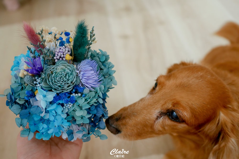 20251024-jili2 20251024-jili2