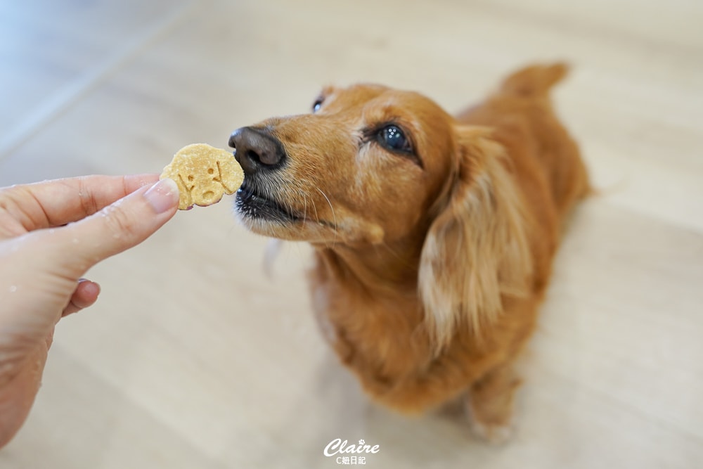 20251024-r1fy4 20251024-r1fy4