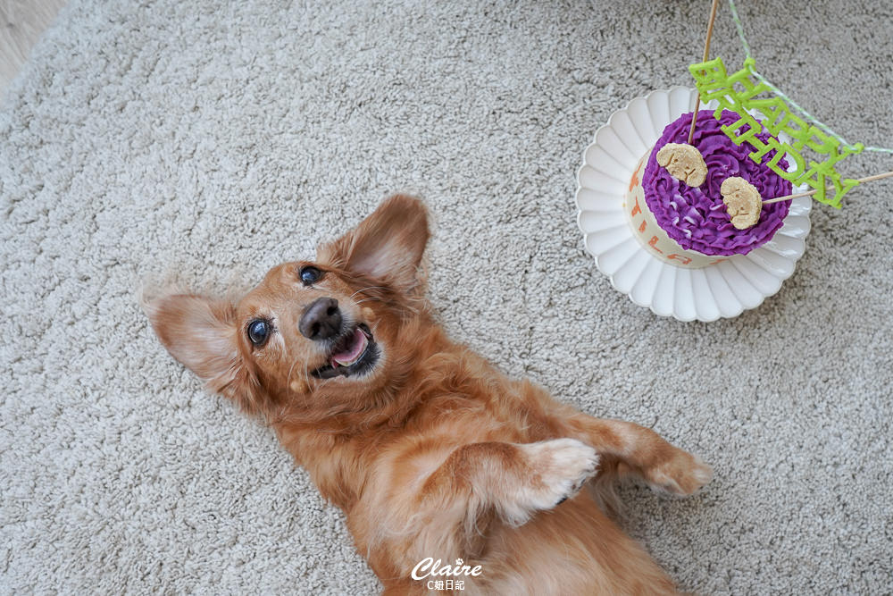 20251024-th9ht 20251024-th9ht