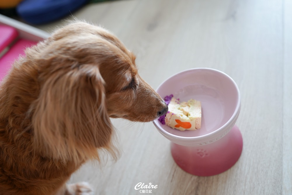 20251024-wspcz 20251024-wspcz