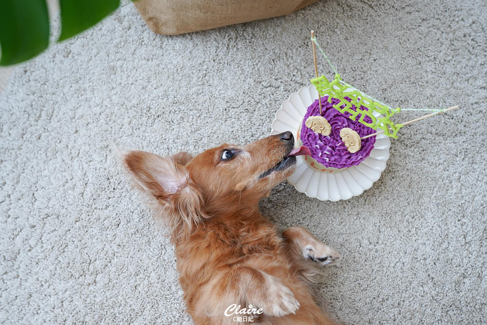 20251024-xi7s5 20251024-xi7s5