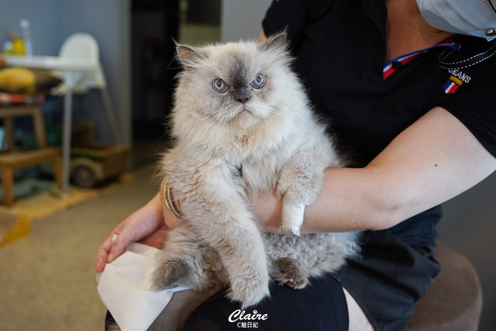 20251024-0gcp1 20251024-0gcp1