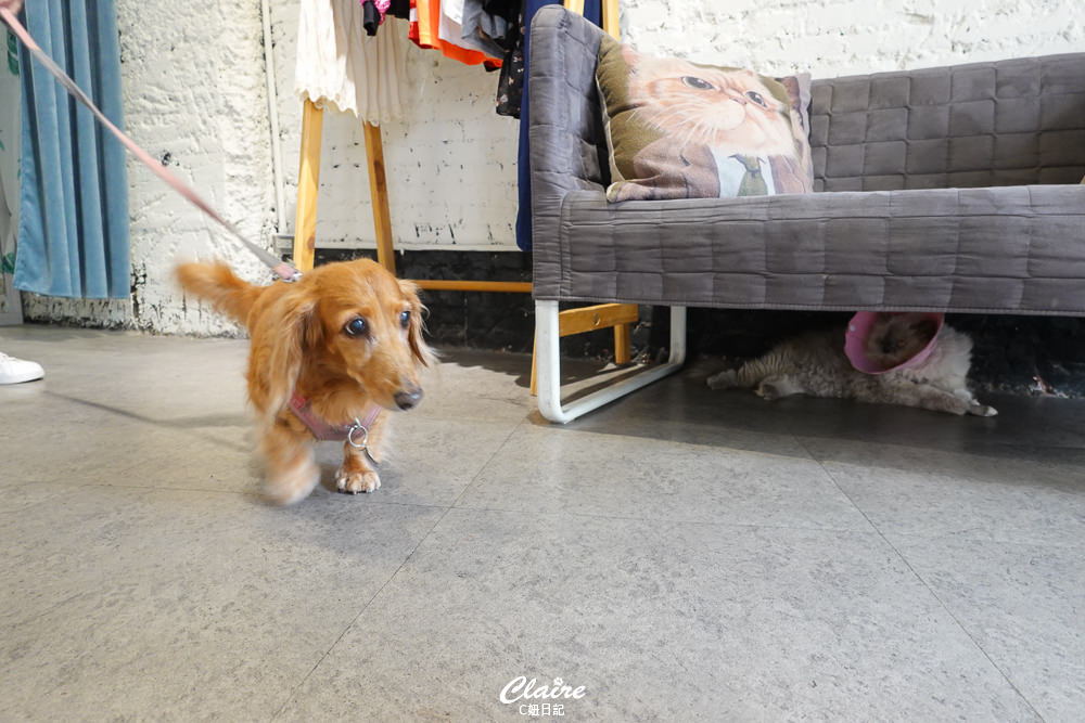 20251024-6wig4 20251024-6wig4