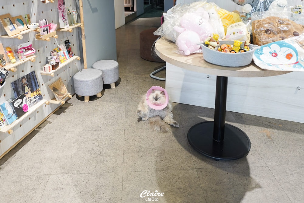 20251024-955pv 20251024-955pv