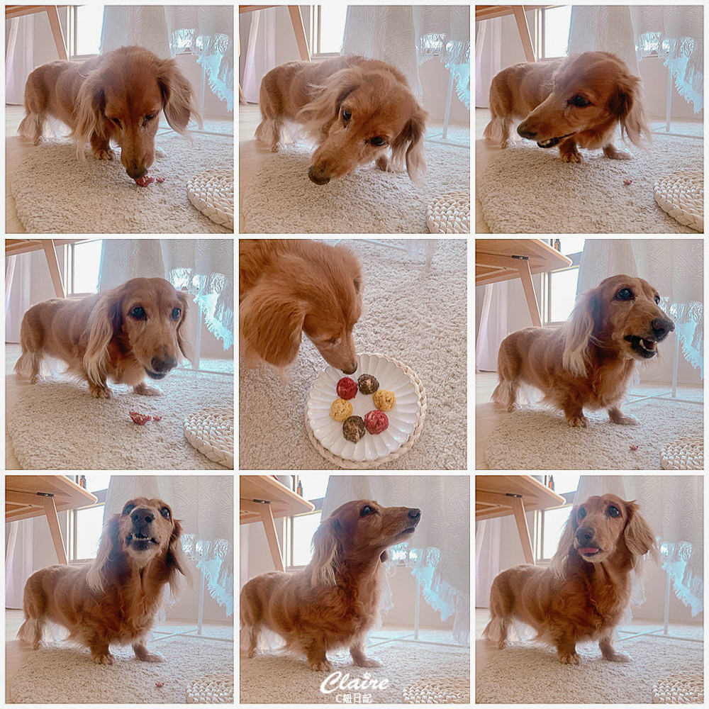 20251024-gj9er 20251024-gj9er