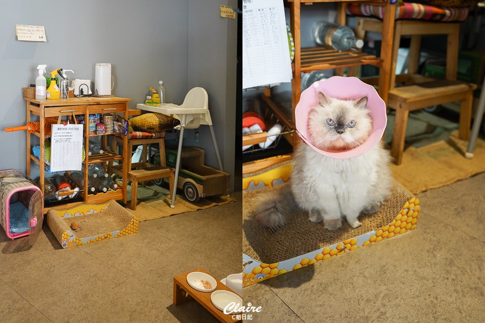 20251024-juldi 20251024-juldi