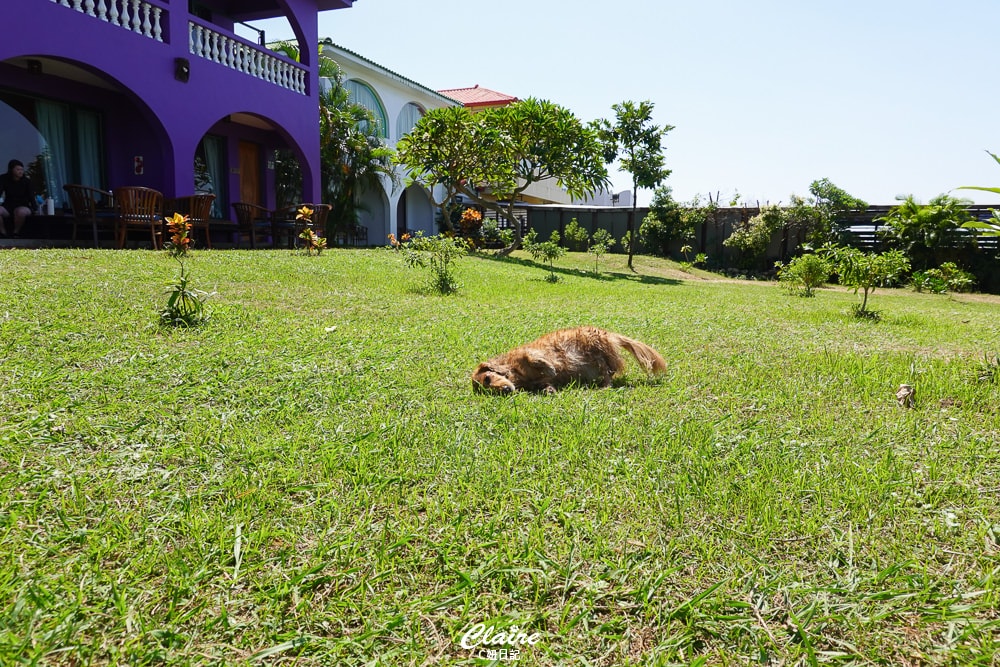 20251024-blt4p 20251024-blt4p