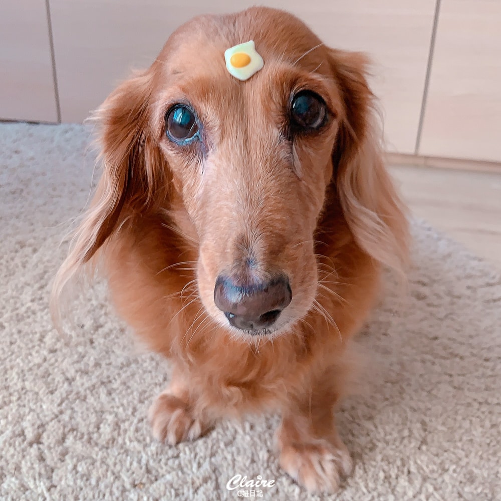 20251024-f1fhu 20251024-f1fhu