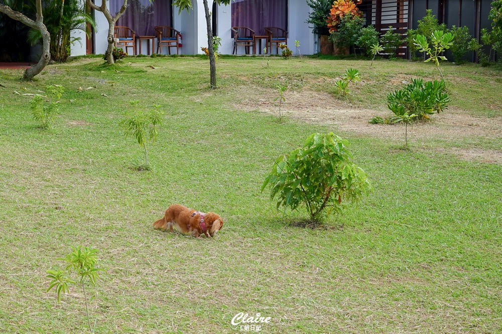 20251024-qcnpw 20251024-qcnpw