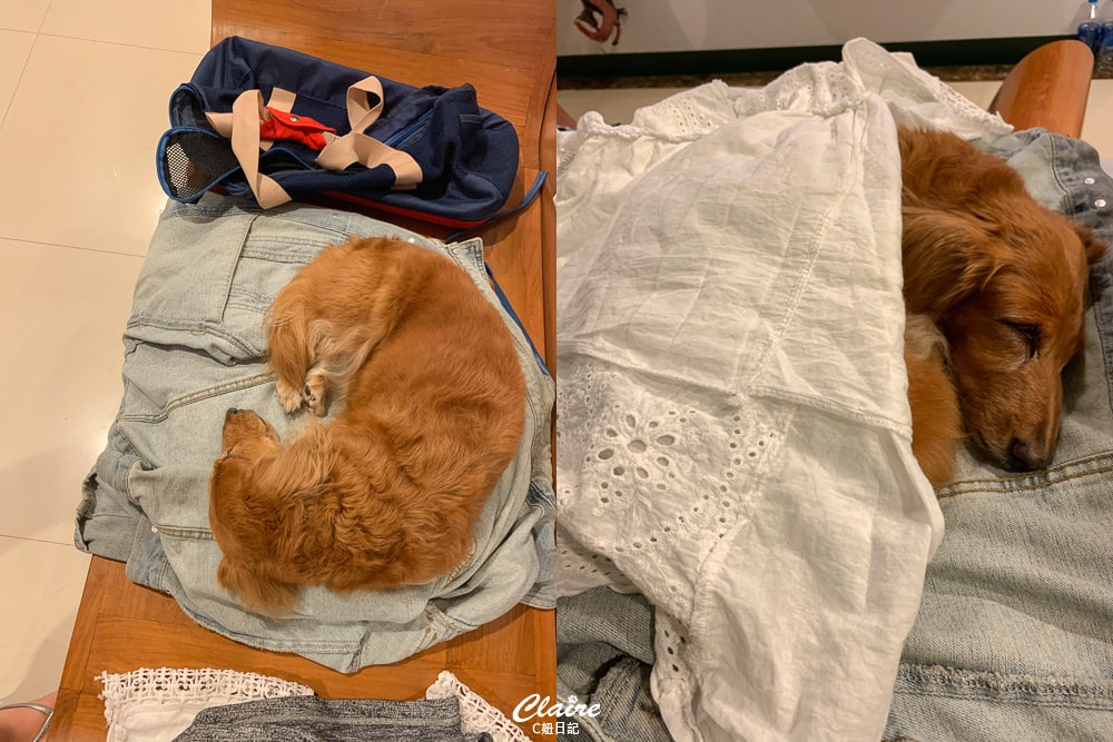 20251024-zv1ji 20251024-zv1ji