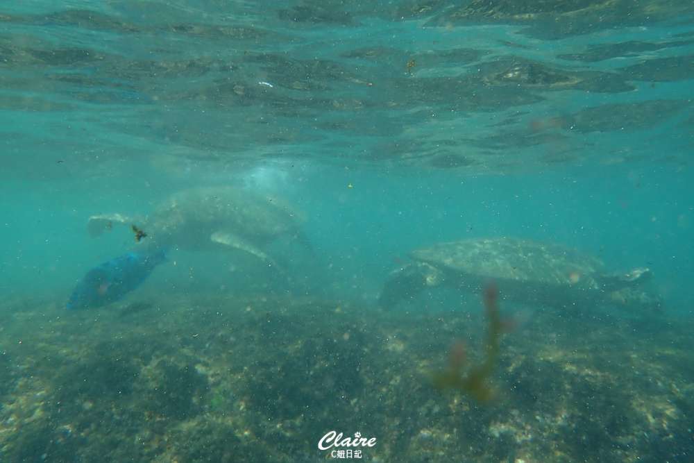 20251024-ai0lt 20251024-ai0lt