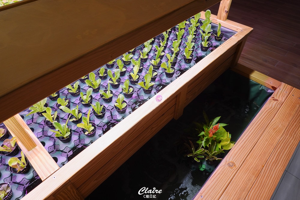 20251024-e67e4 20251024-e67e4