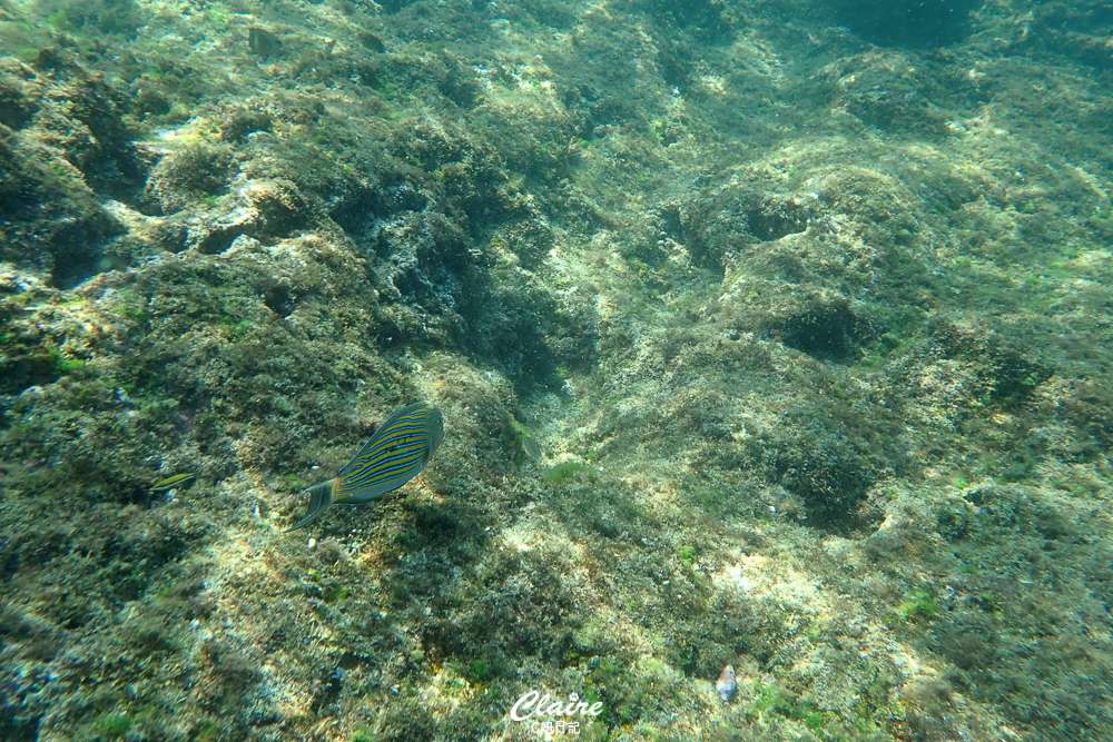 20251024-jwcj1 20251024-jwcj1