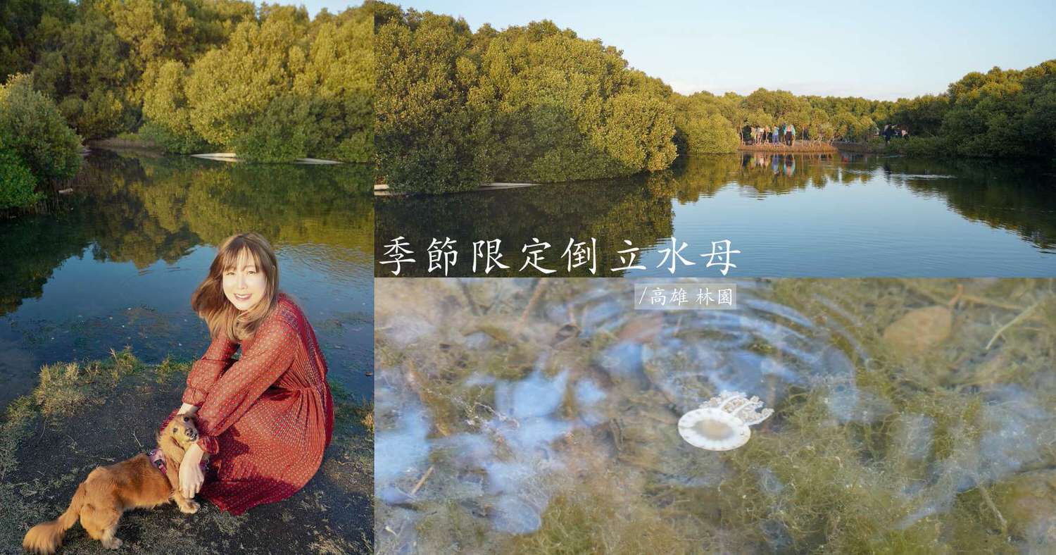 20251024-7bnvm 20251024-7bnvm