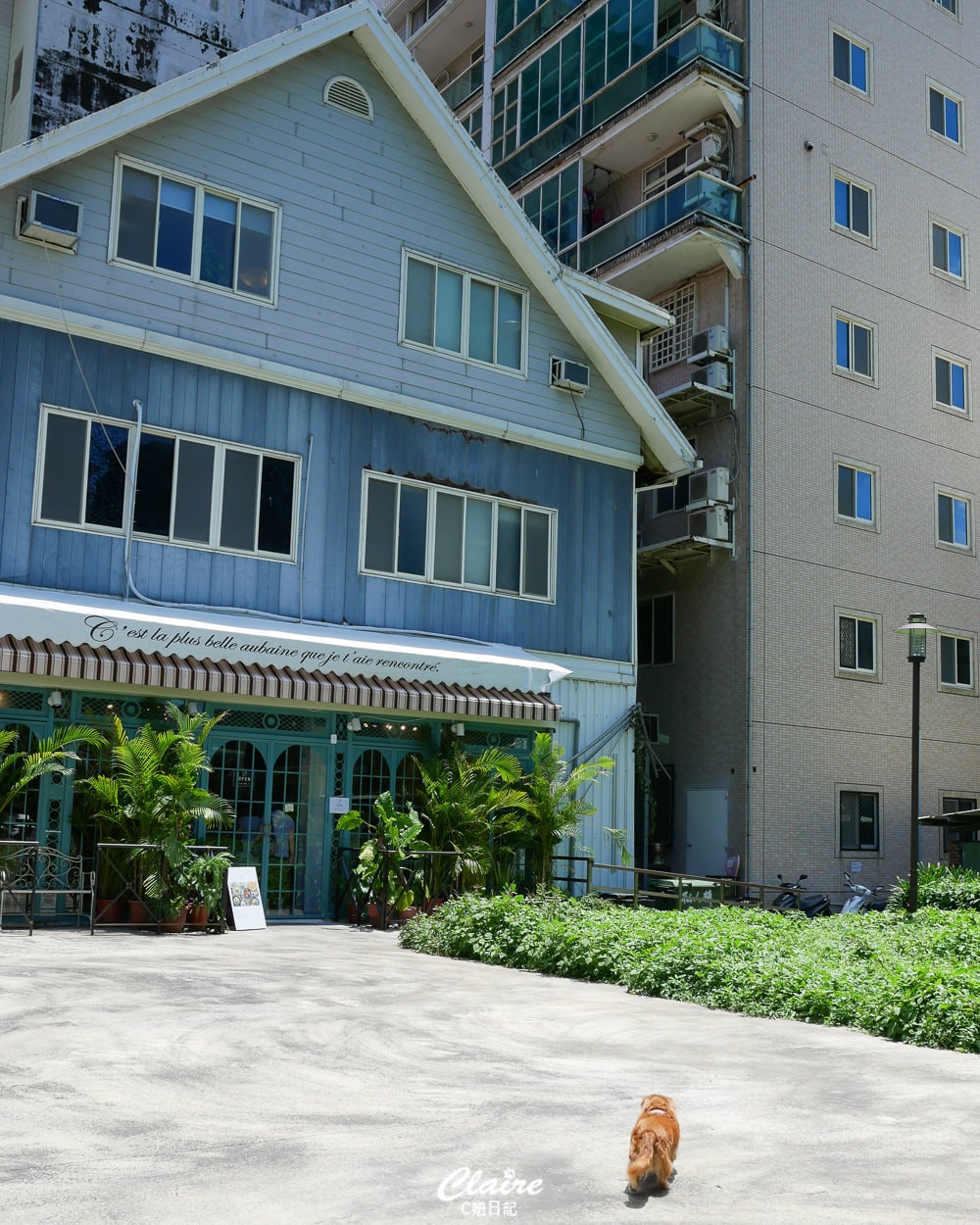 20251024-dipn1 20251024-dipn1