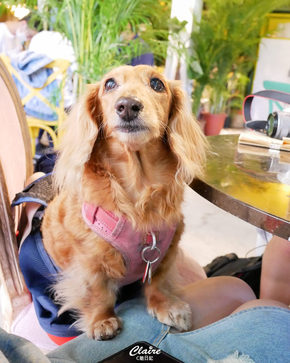 20251024-fl3ss 20251024-fl3ss