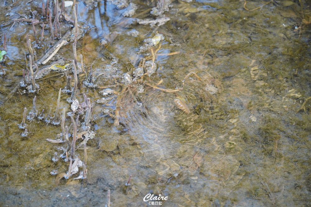 20251024-p82kd 20251024-p82kd