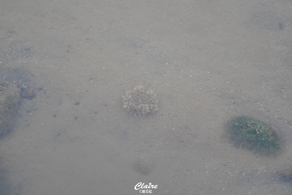 20251024-ptoek 20251024-ptoek