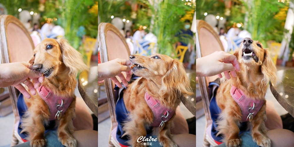 20251024-vo1rr 20251024-vo1rr