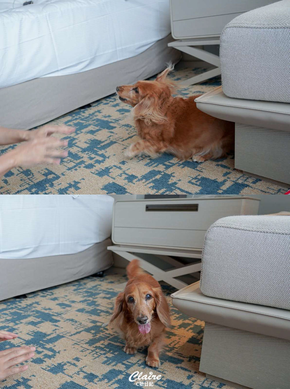 20251024-d9dmz 20251024-d9dmz