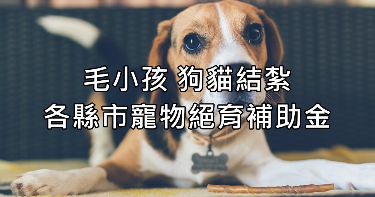 20251024-hxuhu 20251024-hxuhu