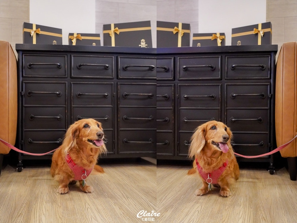 20251024-8950v 20251024-8950v