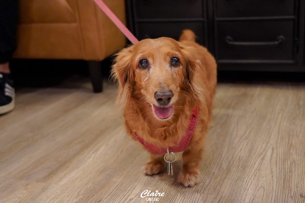 20251024-ju4qc 20251024-ju4qc