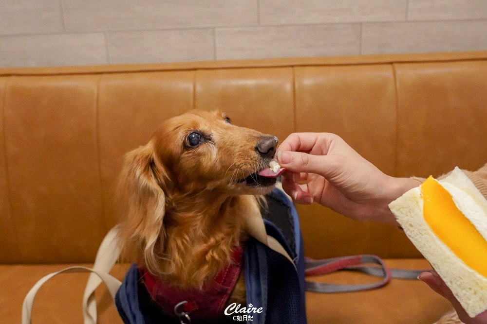 20251024-jyvqd 20251024-jyvqd