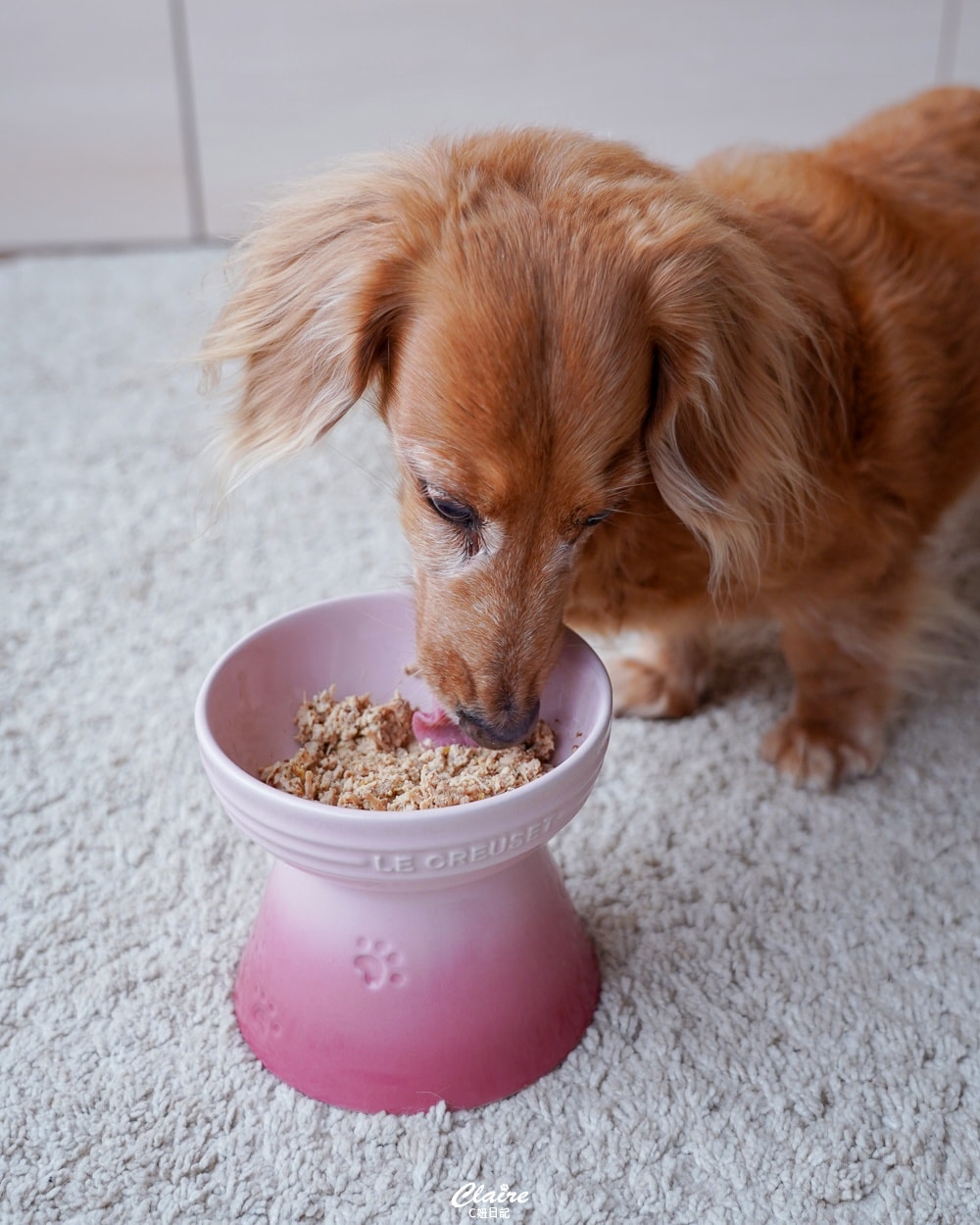 20251024-1ch6e 20251024-1ch6e