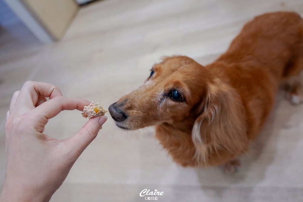 20251024-46143 20251024-46143