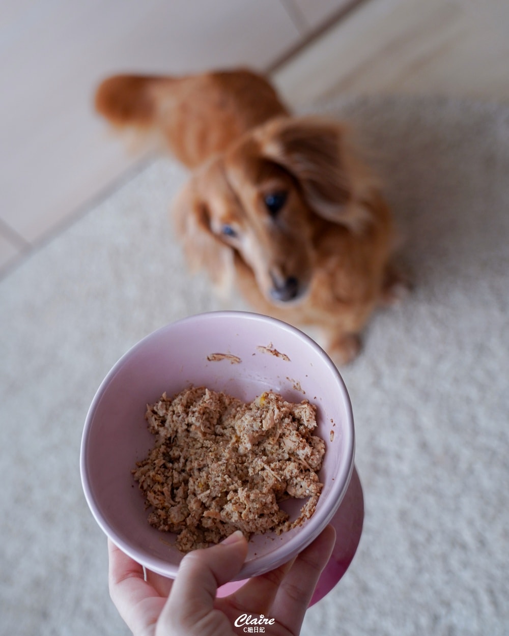 20251024-9zeim 20251024-9zeim